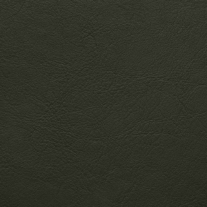 Aston-bottle-green-228-vinyl-fabric