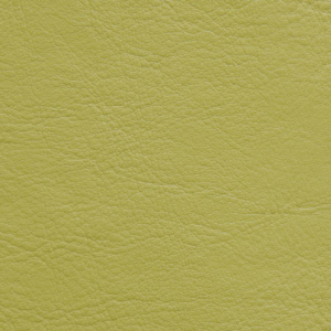 Aston-pistachio-223-vinyl-fabric